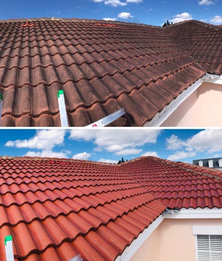 whatsapp image 2026 03 11 at 1.41.57 pm