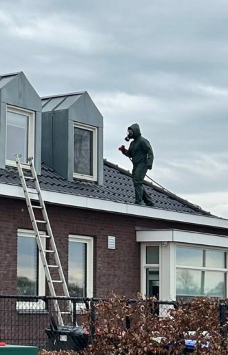 whatsapp image 2026 03 11 at 4.47.02 am